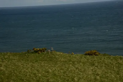 DSC_7259 (Large).JPG